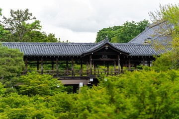 Fototapeta na wymiar 京都の自然