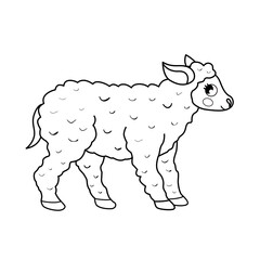 Coloring book for children. Farm animals. Sheep
