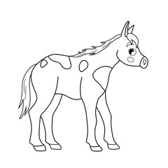 Coloring book for children. Farm animals. Foal.