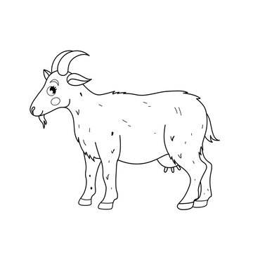 Coloring book for children. Farm animals. Goat.