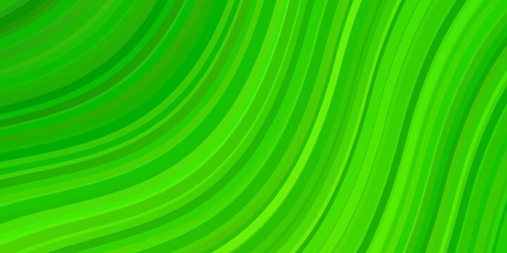 Light Green Vector Background With Lines. Colorful Abstract Illustration With Gradient Curves. Best Design For Your Ad, Poster, Banner.