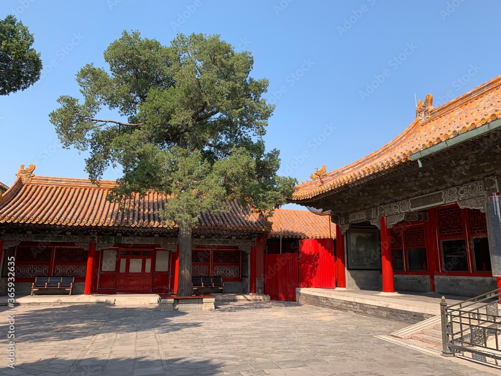 Canvas Prints Pavillon de la Cité interdite à Pékin, Chine