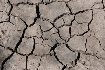 Close up of dry cracked earth in a drought