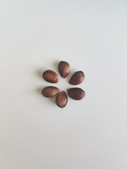 chocolate and nuts