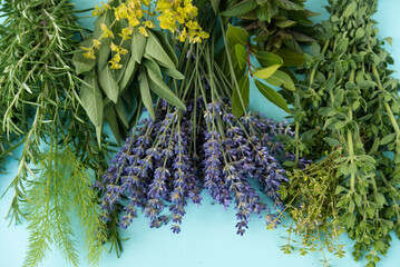 Bunches of different fresh herbs on a blue background.
