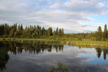 Fototapeta na wymiar Evening On The Water, Elk Island National Park, Alberta