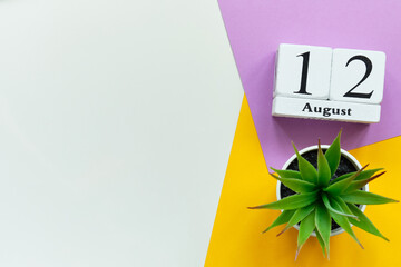 12th august - twelfth day month calendar concept on wooden blocks with copy space.