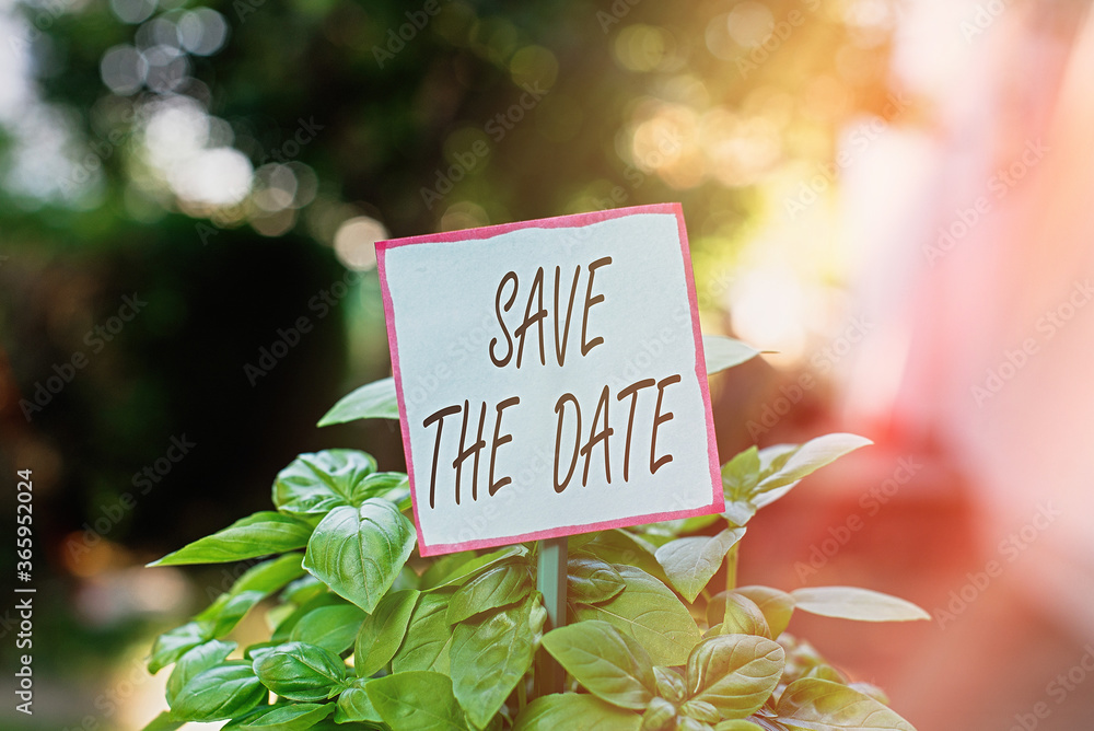 Poster handwriting text save the date. conceptual photo organizing events well make day special event organ