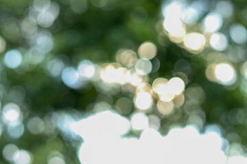 Obraz premium abstract bokeh background