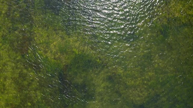 AERIAL: The river leading from the Mavora Lakes. Forests surround the river and a gravel road follows its path. Downward facing crane shot. New Zealand, South Island.