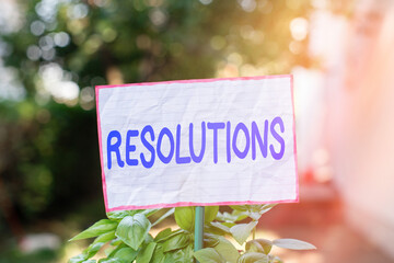 Conceptual hand writing showing Resolutions. Concept meaning defined with being firmly fixed on...