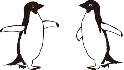 penguins on a white background