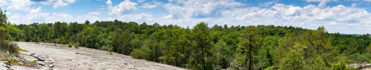 Fototapeta na wymiar Panola Mountain Georgia USA, granite monadnock surface overlooking green forest and blue sky with clouds, panoramic view, horizontal aspect
