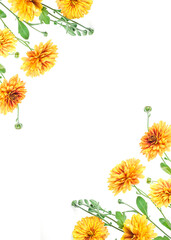 Flowers composition from chrysanthemum flowers