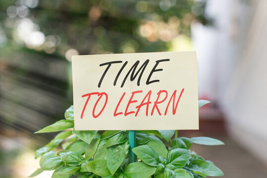 Handwriting Text Writing Time To Learn. Conceptual Photo The Need To Get Knowledge Or Understanding Of Facts And Ideas Plain Empty Paper Attached To A Stick And Placed In The Green Leafy Plants