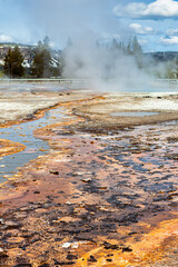 Wide Angle View of Mammoth Hot Springs, Geysers and its Environs in Yellowstone National Park