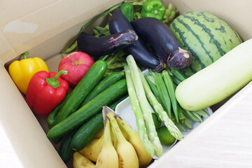 ダンボール箱に入った野菜の詰め合わせ