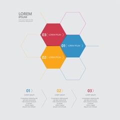 infographic template design