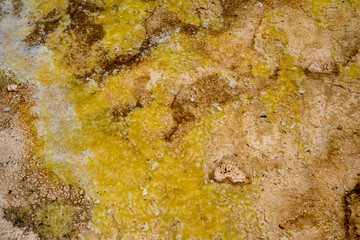 Close up abstract view of a hot spring waters at Biscuit Basin, a geothermal area of Yellowstone National Park. Useful for backgrounds
