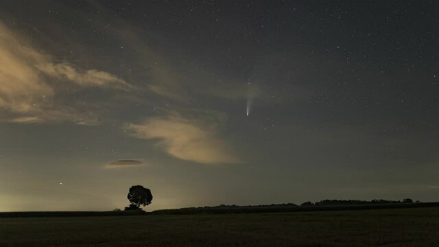 C/2020 F3 comet (NEOWISE) in the evening sky. On the horizon is a silhouette of a tree and a bright comet among the stars. Photographed in Hungary on July 19, 2020.