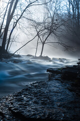 stream on a foggy morning