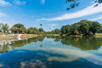 Fototapeta na wymiar Beautiful landscape of lake and trees in a oldest public park in Malaysia known as Taiping Lake Garden.
