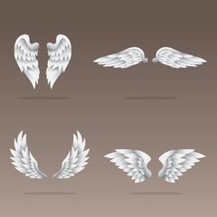 set of angel wings