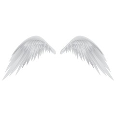 angel wings