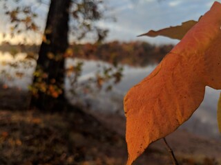 Season's change depicted with a lone orange leaf in the foreground to sunset over a calm river.