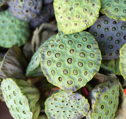 Bunch of Lotus for sale at the street market
