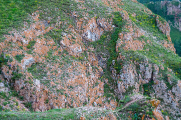green moss on stone wall