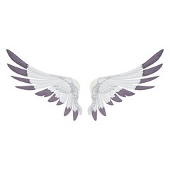 Fototapeta na wymiar angel wings