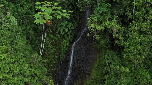 Aerial drone video, slow zoom out at a small cascade in the tropical amazonian rainforest
