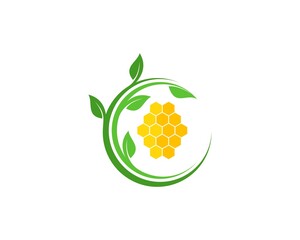 Circle nature leaf with bee hive inside