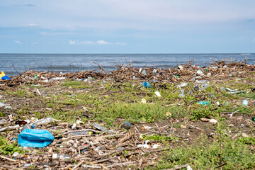The problem of pollution and ecology of the sea shore and the ocean
