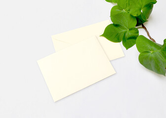 Envelope Mockup. Top view blank card on white background and green leaves.