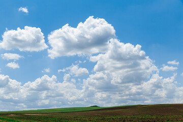 Green meadow under blue sky with clouds. Beautiful nature, landscape.