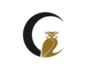 Owl on the circle moon