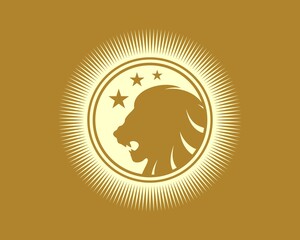 Shinning circle shape with lion head and star