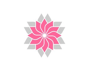 Abstract beauty flower with pink and colors