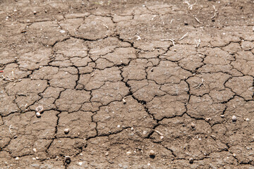 Texture of dried cracked earth because of no rain and drought season. Example of changing climate.
