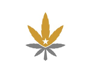 Cannabis star with gold and silver colors