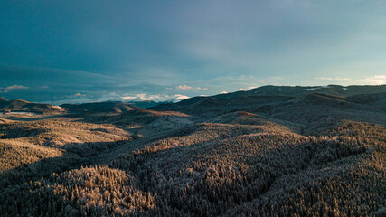Carpathian mountains winter. Snow coniferous forest at sunset.