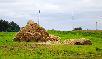 .golden rolls of hay, stacked in  pyramid, lie at  edge of the field. Autumn harvesting of hay, in...