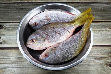 Pile of fresh Yellow Tail fish (Hamachi fish) in the stainless bowl. Famous seafood ingredients in Asia. Preparation food in kitchen. 