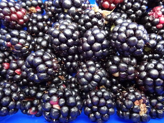 Nahaufnahme von Brombeeren