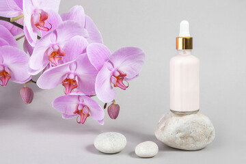Obraz na płótnie Canvas Pink anti-aging collagen, facial serum in transparent glass bottle with gold pipette on stone and natural orchid flower, grey background. Natural Organic Spa Cosmetic Beauty Concept. Front view