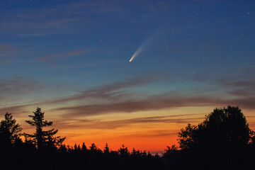 Komet Neowise