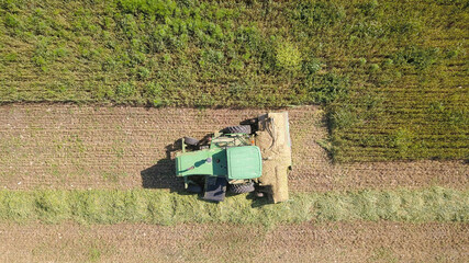 Fototapeta na wymiar Combine harvesting Wheat for silage in a massive agriculture field.