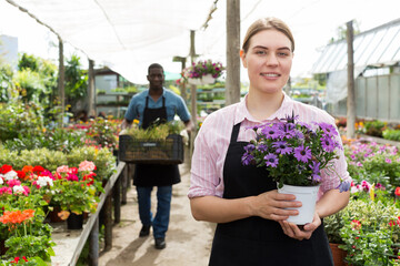 Portrait of florist woman working in sunny greenhouse full of flowers